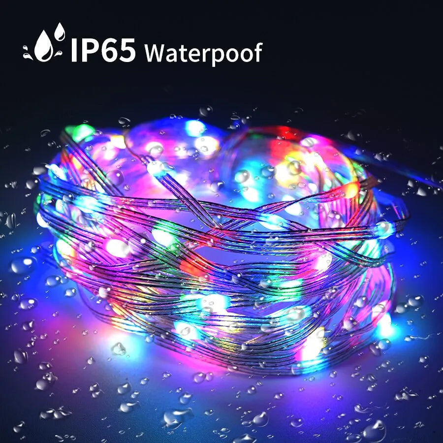 Christmas LED Fairy Lights: Indoor/Outdoor RGB Bluetooth APP Control